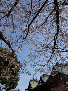 神社の境内で