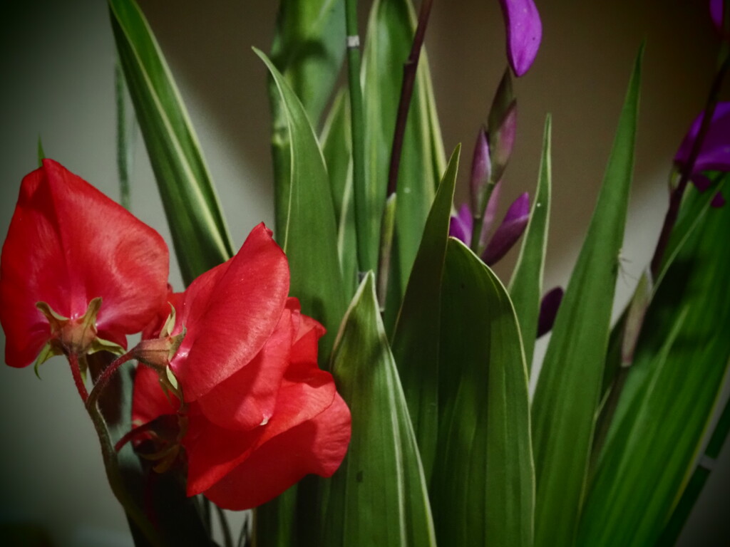 スイトピーと紫蘭