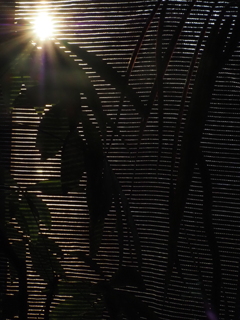 夕陽