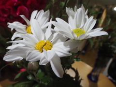 切り花１