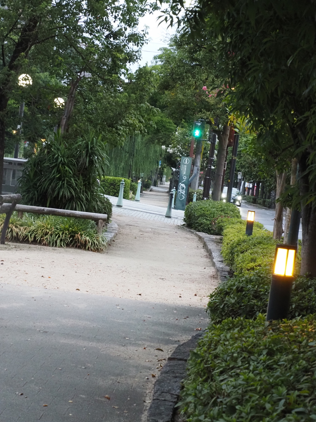 朝散歩　１