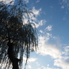 今朝の青空