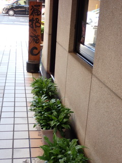 小さな緑