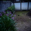 門の前にお花が植えてあります