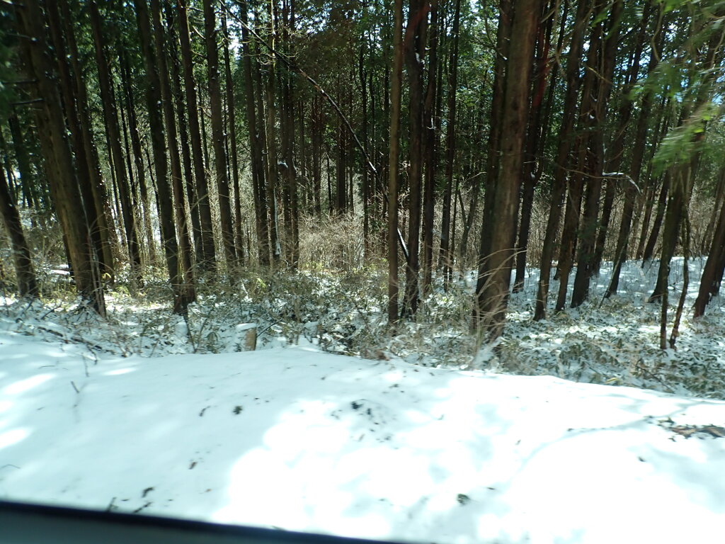 雪の残る山道