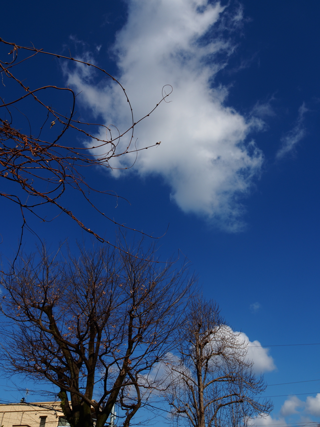 今日の空；2023.1．30