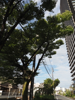 台風が来る　２
