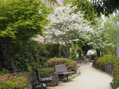 公園にて