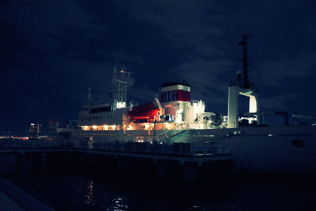 the ships