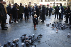 Firenze