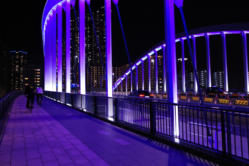 purple bridge