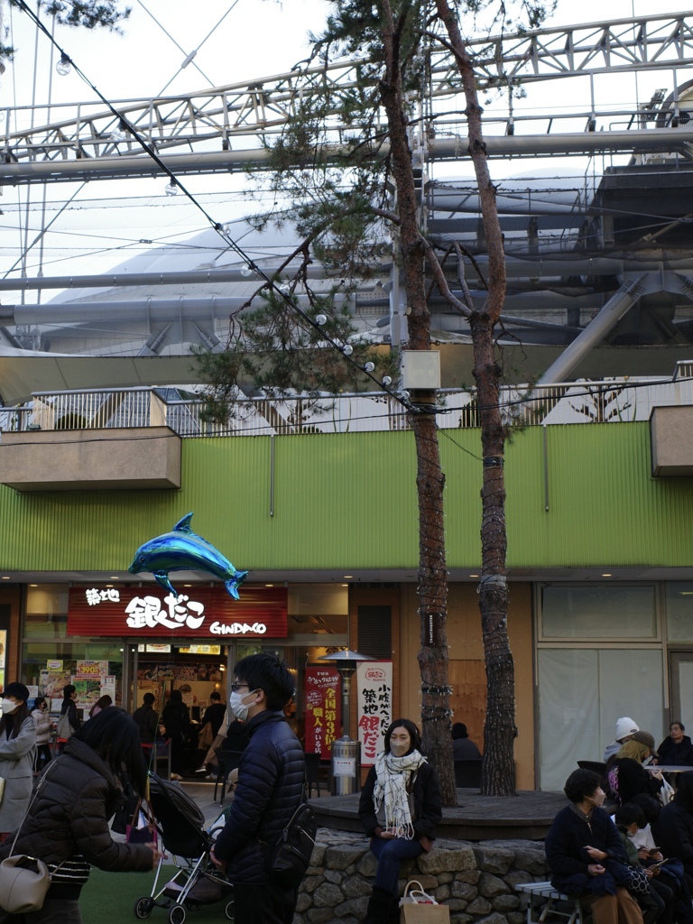 空飛ぶイルカ