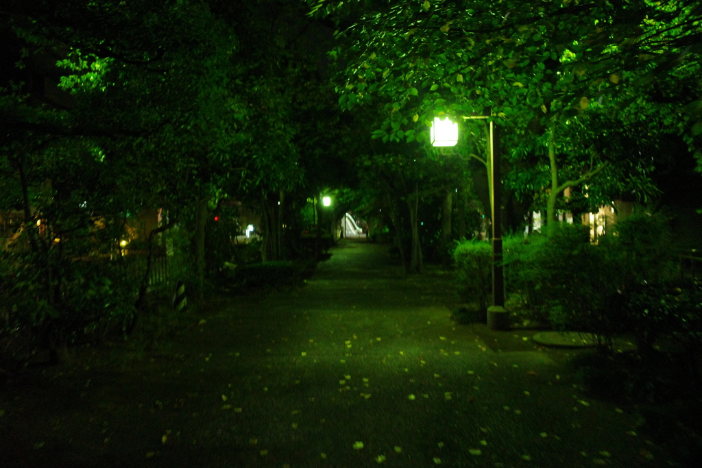 緑の夜