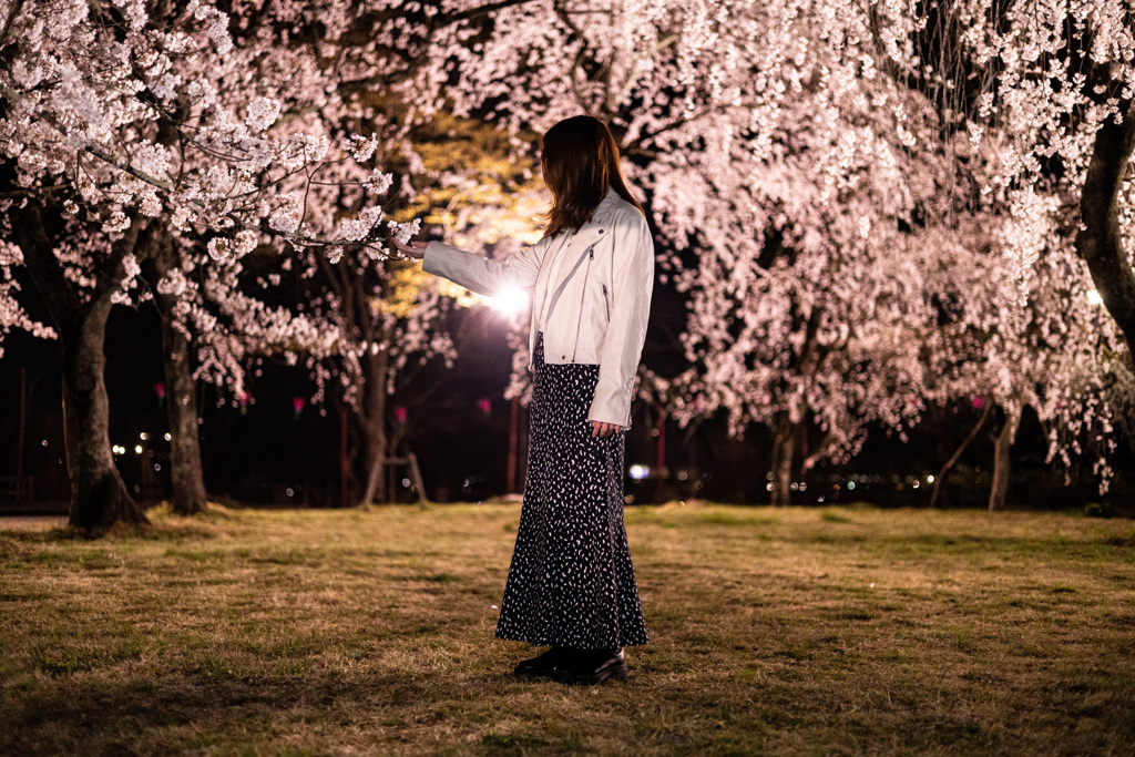 夜桜ポートレート