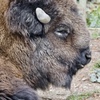 東武動物公園