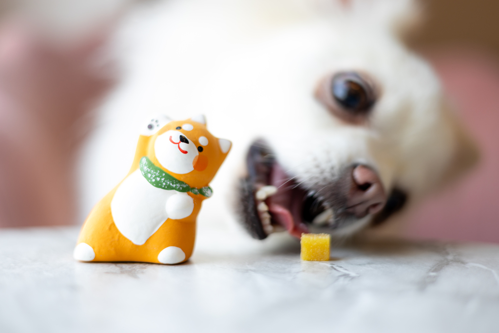 待てからの　よし！