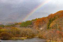 雨上がりの紅葉