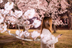 夜桜ポートレート
