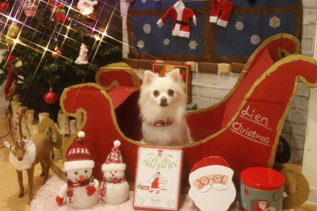 クリスマス