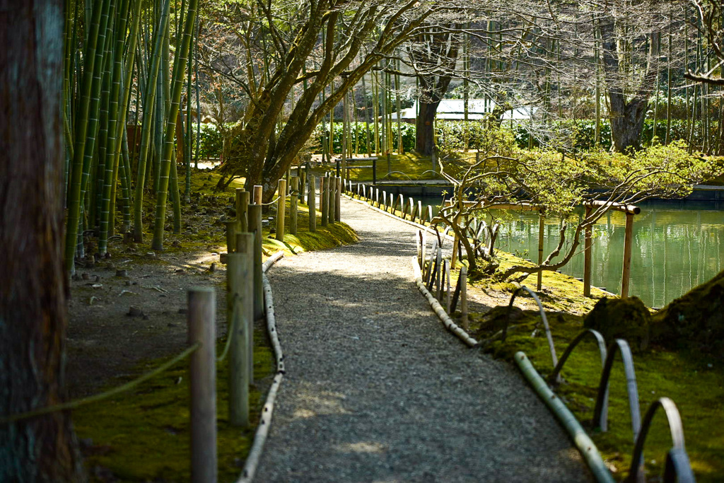 道