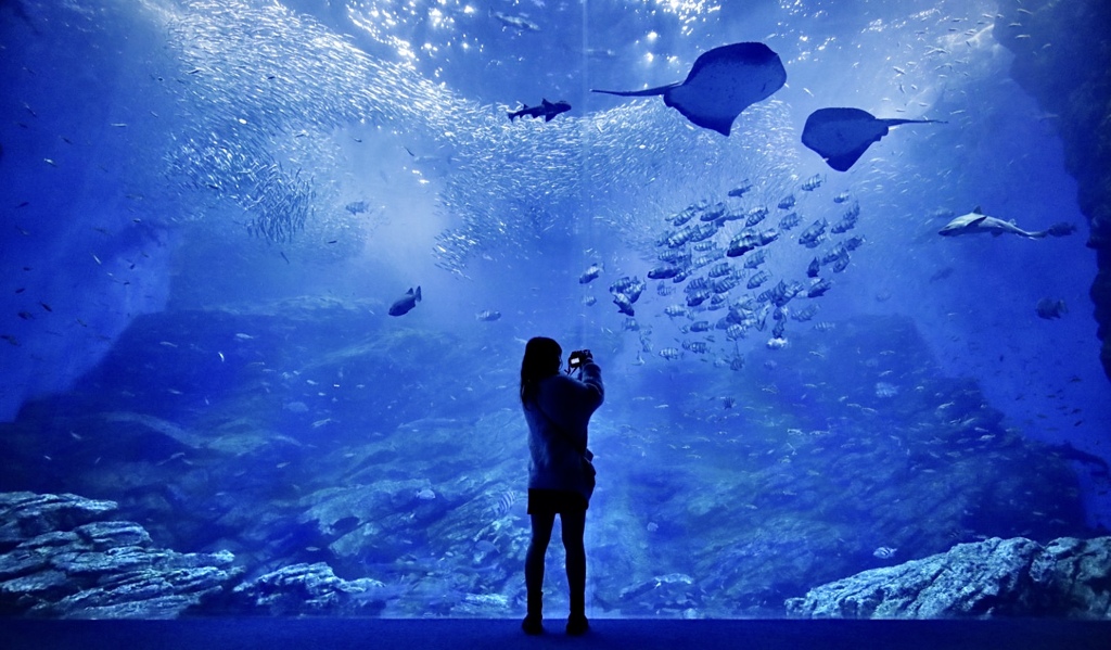 水族館