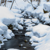 雪降る渓流