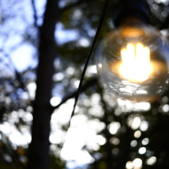 宵口の電球の灯り