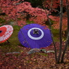 勝林寺