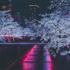 目黒川桜まつり