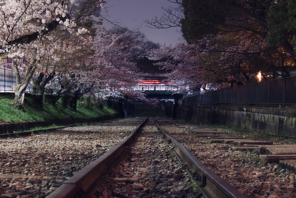 蹴上インクライン夜桜