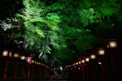 貴船神社 青紅葉