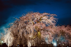 祇園の夜桜Ⅱ