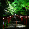 黄船神社 青紅葉