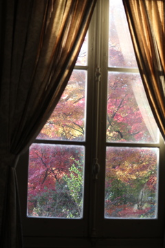 窓からの紅葉