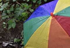 rainbow
