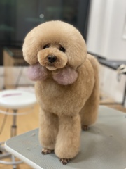 トリミングしました