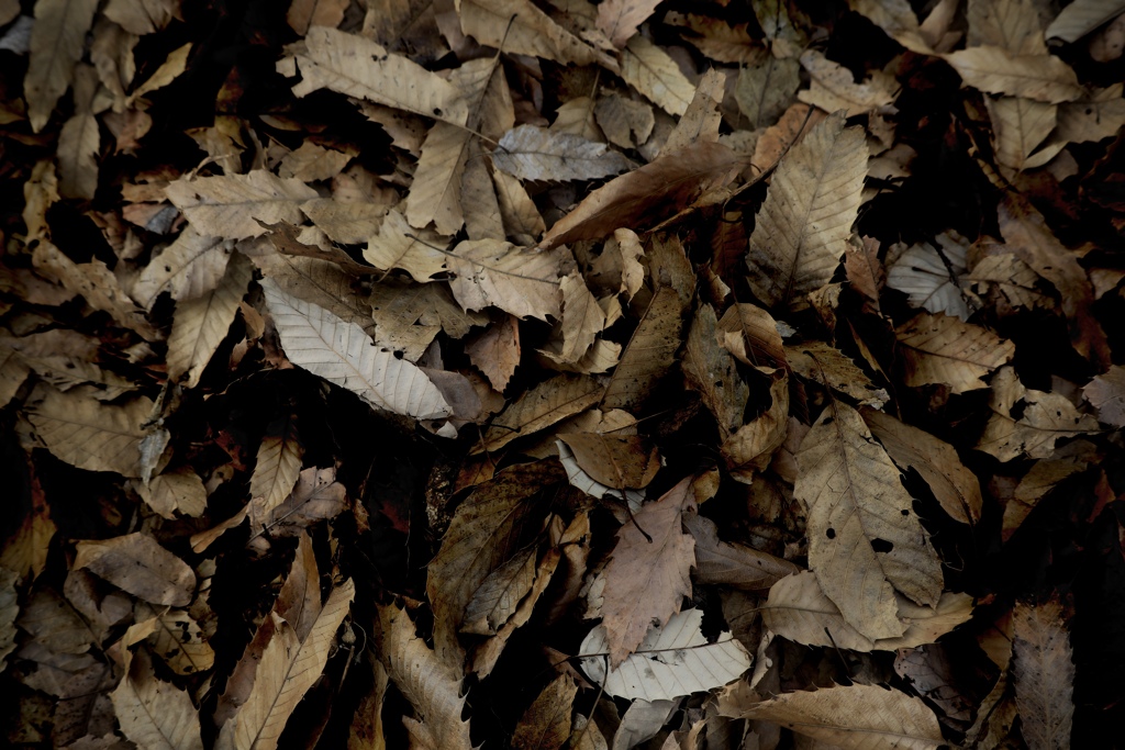 83936272-33DB-40B3-847A-300ECCF0BF43