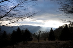 28A5BC57-A902-4342-8CDB-4C1289563A1E