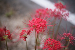 434BD104-C6C6-4BA6-A09D-AF498251614F