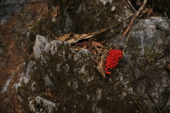 34542A72-605F-46FC-BA12-A1DE953E6F87