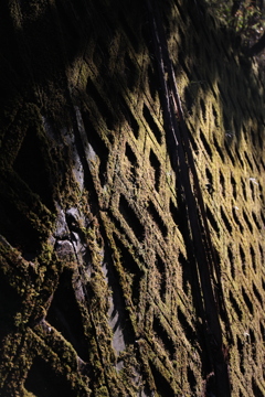 DA9C716E-47F0-4741-B81D-B7C773A614C9