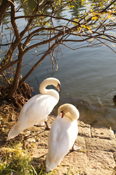 3257E742-452C-484D-B1AF-9E6F1BAE6C5C