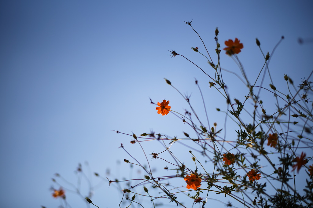 89688E80-5F64-4CCC-BB75-0C0405B6B056