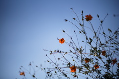 89688E80-5F64-4CCC-BB75-0C0405B6B056