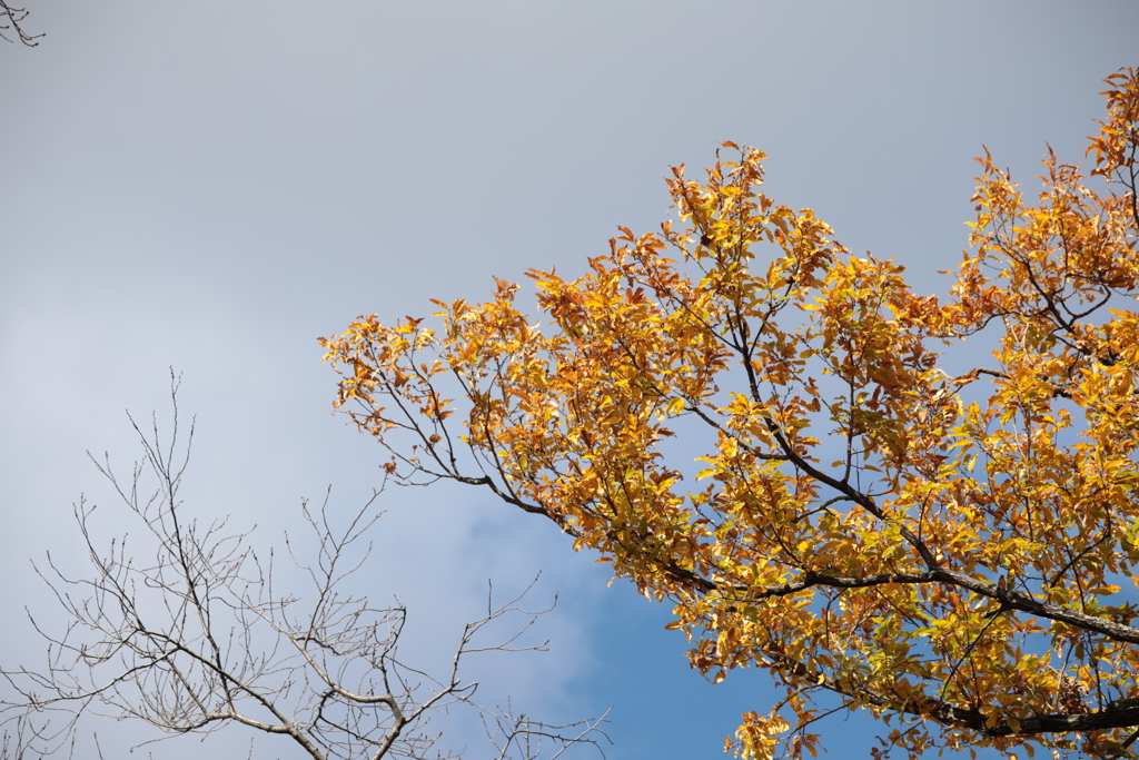 21E9ED59-30D1-4307-80D5-50538D479144