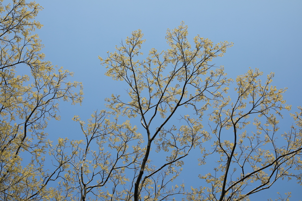 226B94B6-68A6-4FBF-B216-EFD94BC57831