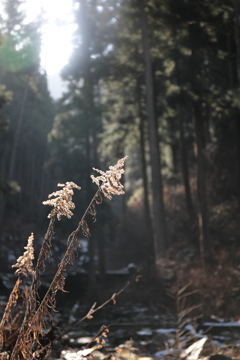 683C888B-01D6-409A-923A-F357FF32EEB3