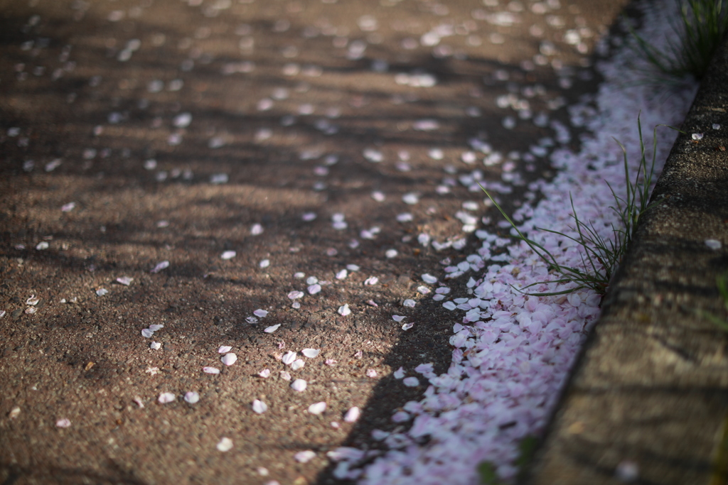 0137C0CD-3F08-4DA8-A3CA-FC9207481F97