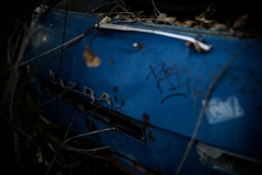 FE126998-BF72-4487-9592-B234EE4DB92A