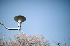 80D50A73-873B-4A4B-81EA-F96D7286DFC6